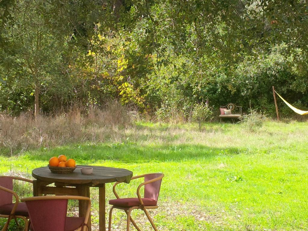 Quiet And Cottage In The Estate Casas Da Cerca Troviscais Exteriör bild